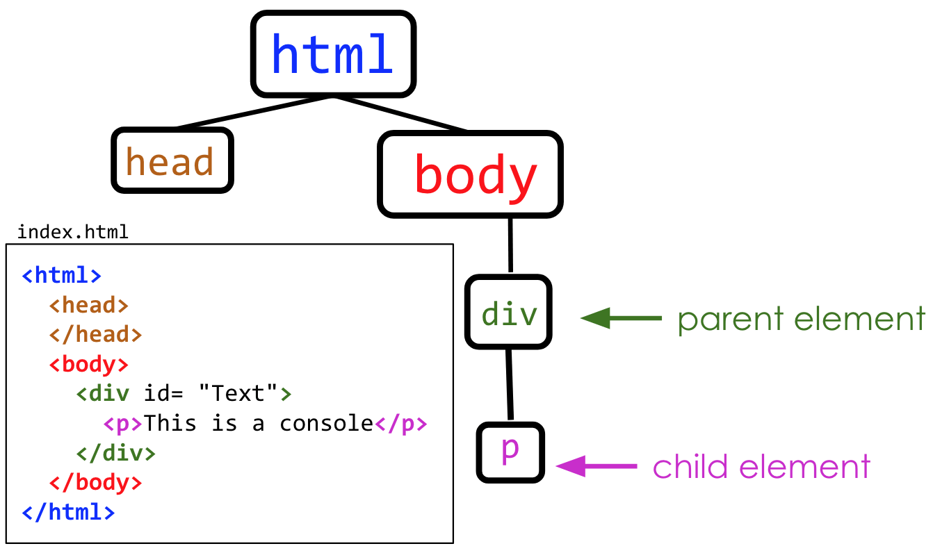 A tree diagram with bubbles illustrating the nested relationships between html elements. Bubbles head and body are connected to a bubble for html above them. The div bubble is connected to the body bubble and is labeled “parent element” with an arrow. The p bubble is connected to the div bubble and is labeled “child element: with an arrow. The corresponding HTML code is displayed next to the tree diagram with p tags nested in div tags, which are also nested in body tags. Both head and body tags are nested in html tags.
